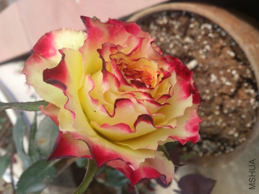 QQͼƬ20140207201357.jpg