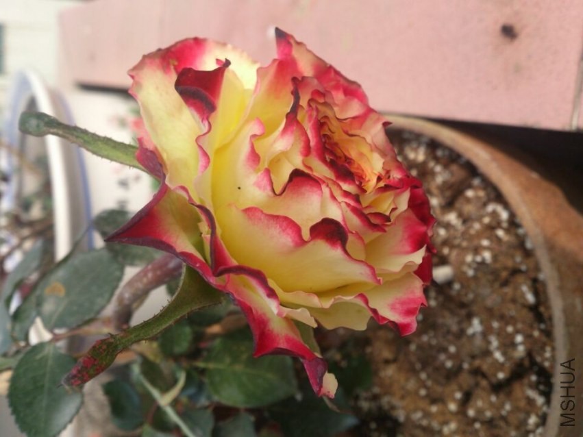 QQͼƬ20140207201400.jpg