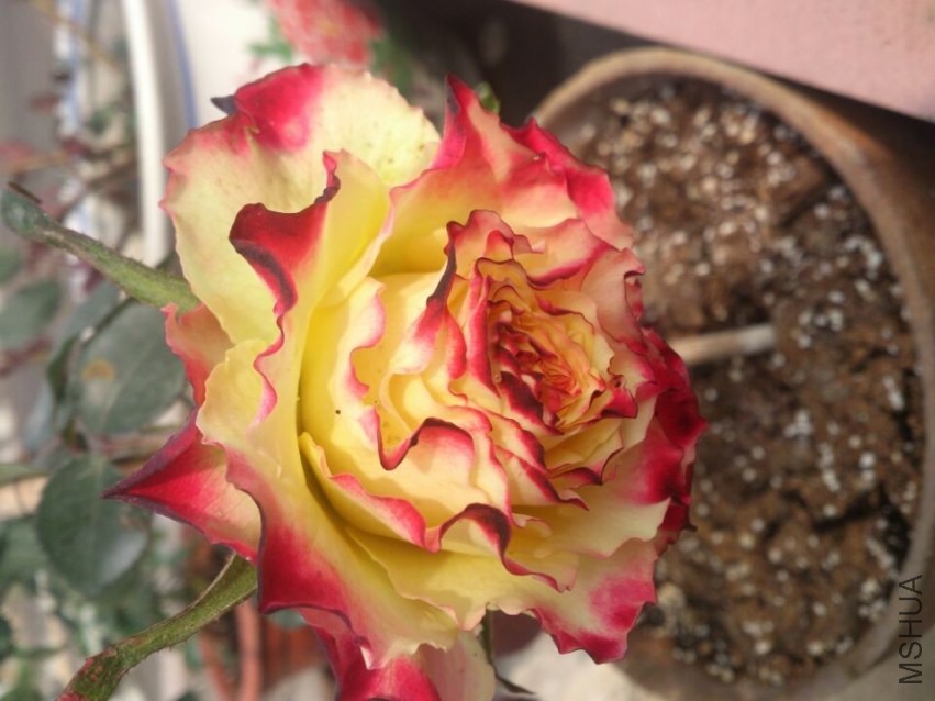 QQͼƬ20140207201403.jpg
