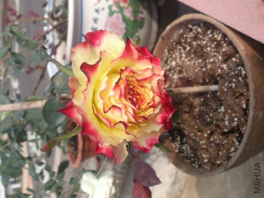 QQͼƬ20140207201406.jpg