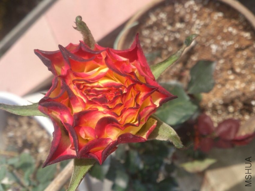QQͼƬ20140207201413.jpg
