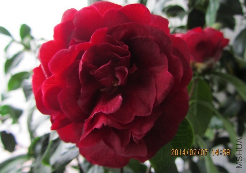 IMG_0113.JPG