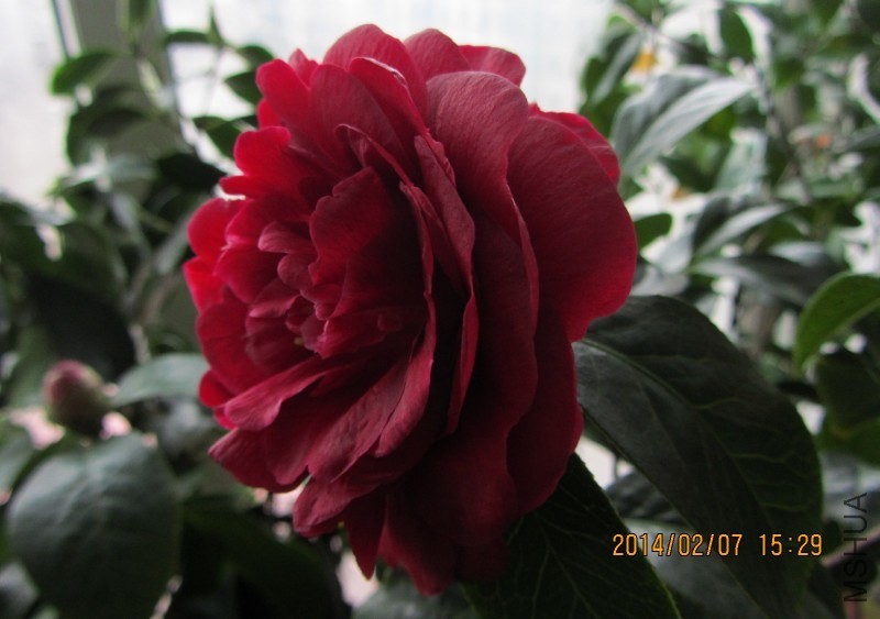 IMG_0145.JPG