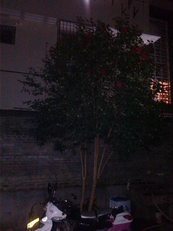 ������С IMG_20140206_191500.jpg