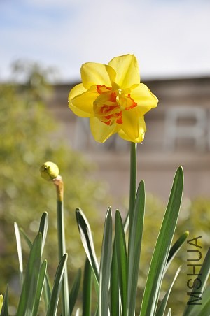 DSC_3607.JPG