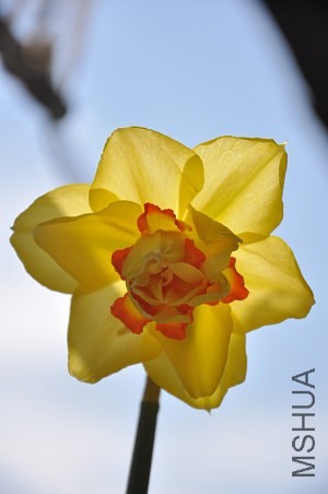 DSC_3591.JPG
