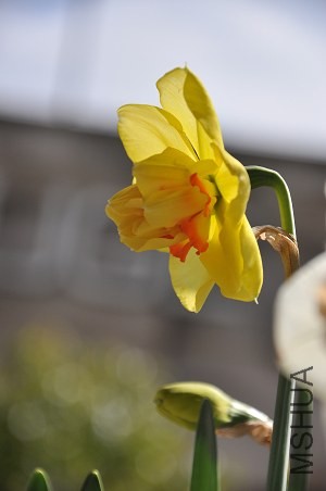 DSC_3597.JPG