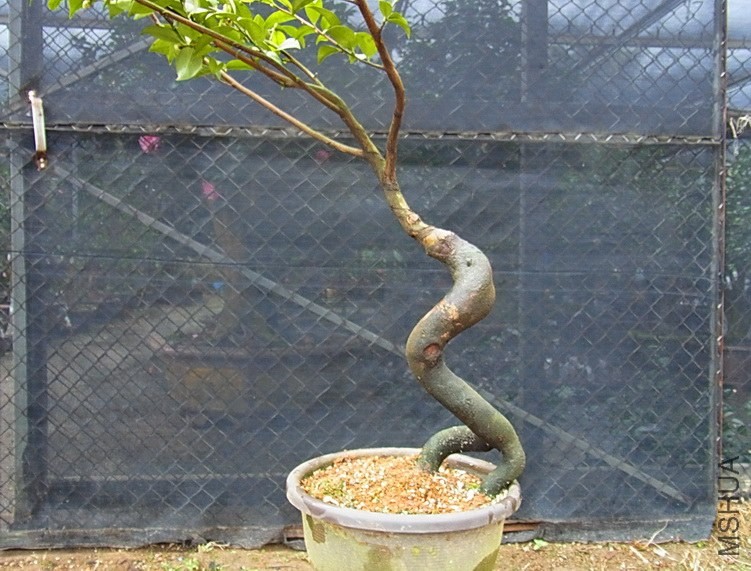 �@һ�濴����������