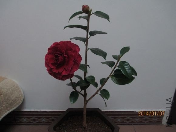 7392f0deb48f8c5457d1004938292df5e1fe7f9e.jpg