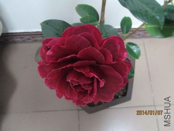 ed6ec8ef76094b3609eade8ba1cc7cd98c109da4.jpg