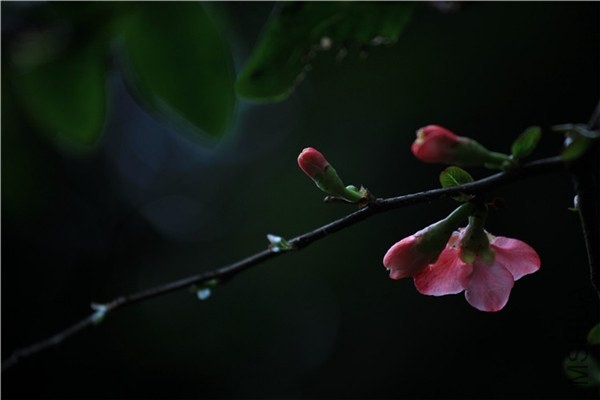 �����������ģ�����  (11).JPG