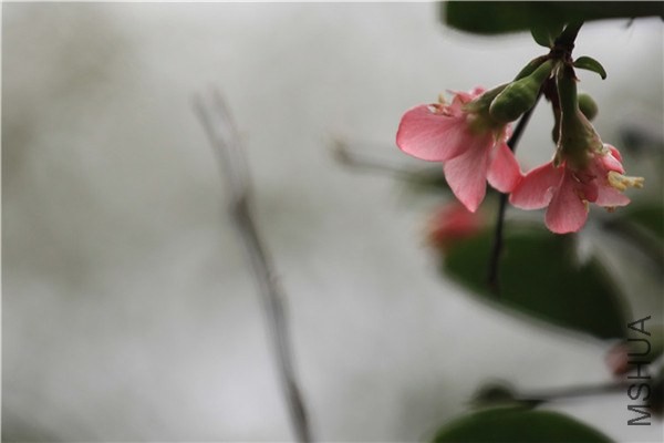 �����������ģ�����  (12).jpg