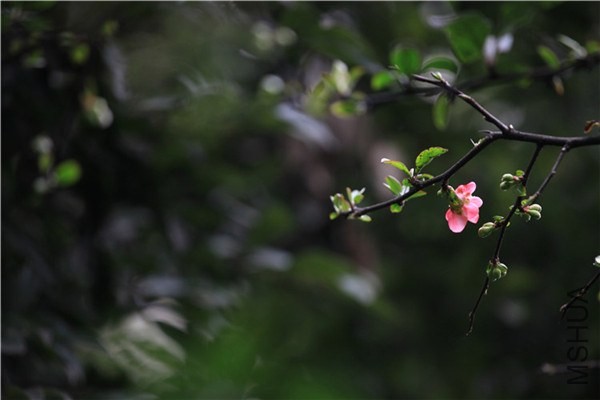 �����������ģ�����  (13).JPG