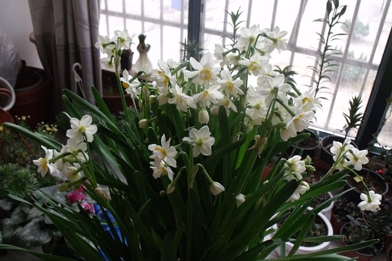 ��Ƭ 309_����.jpg