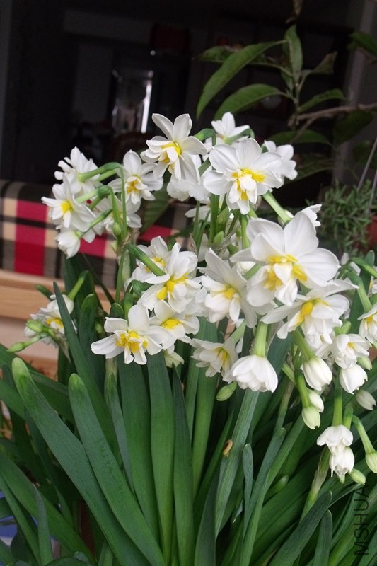 ��Ƭ 310_����.jpg