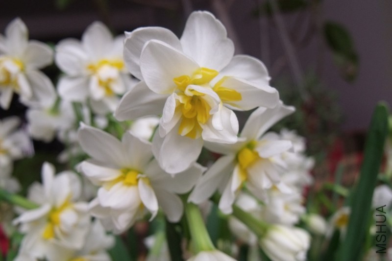 ��Ƭ 311_����.jpg