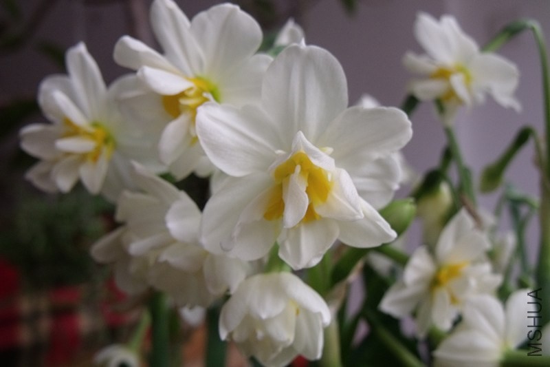 ��Ƭ 312_����.jpg