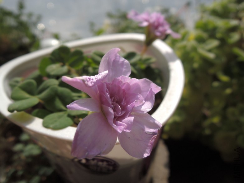QQ��ͼ20140209161815.jpg