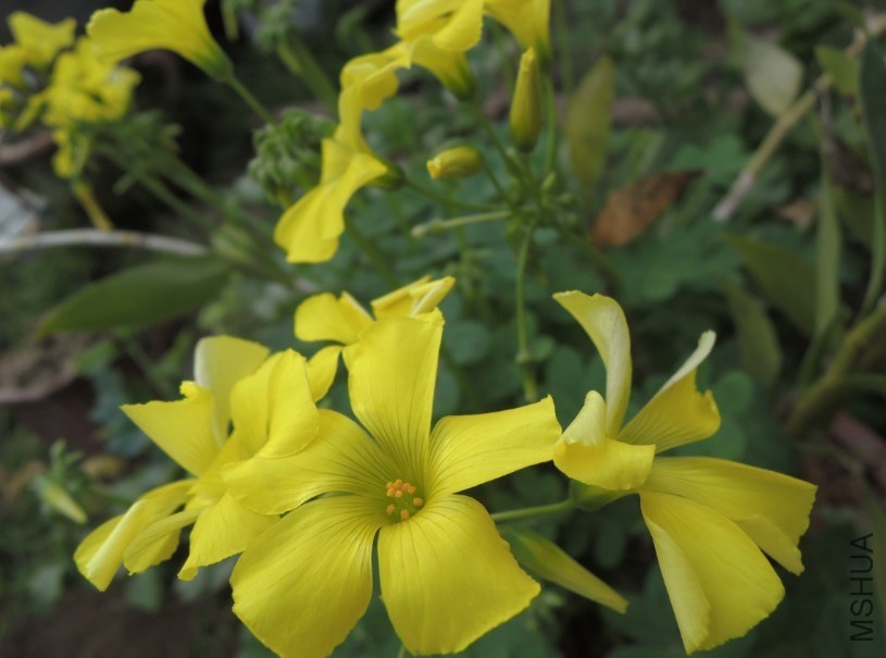 QQ��ͼ20140209162051.jpg