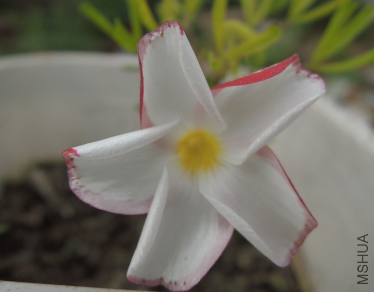 QQ��ͼ20140209162032.jpg
