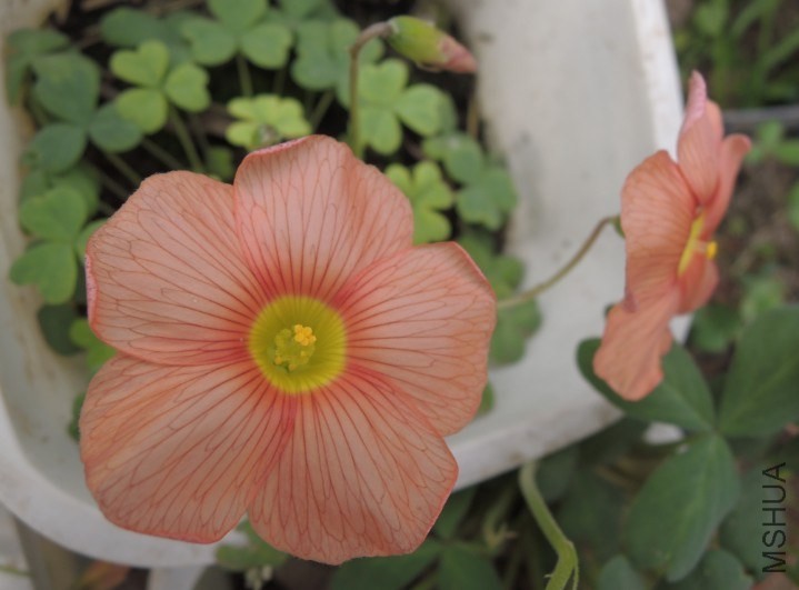 QQ��ͼ20140209161953.jpg