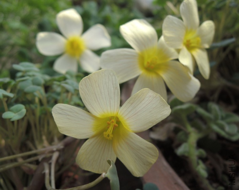 QQ��ͼ20140209162145.jpg