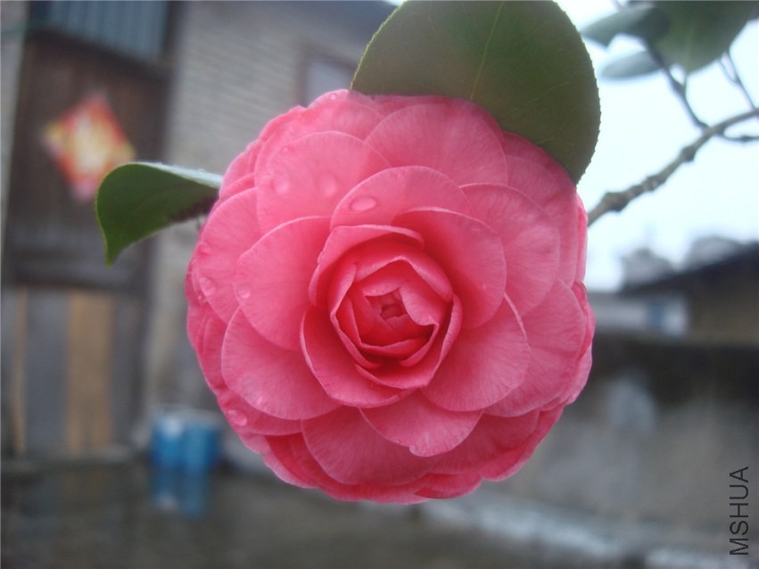 DSC00057_����.jpg