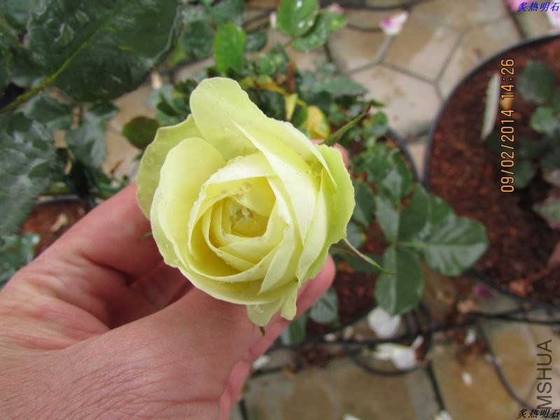 IMG_2104_nEO_IMG.jpg