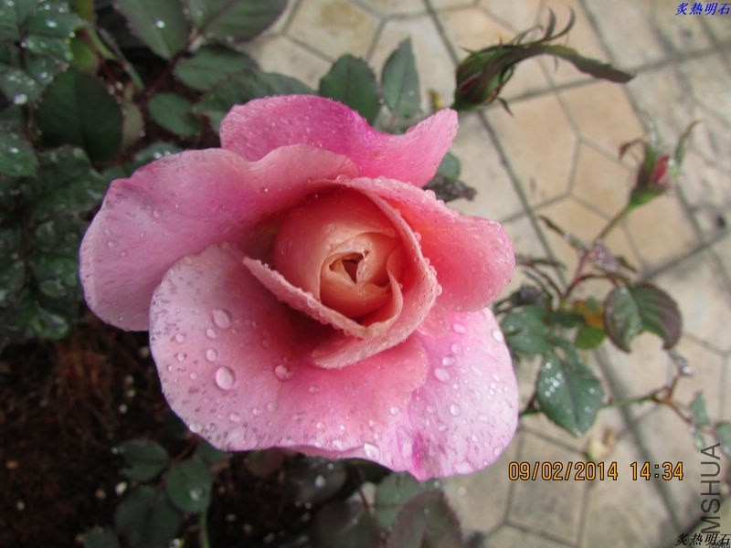 IMG_2152_nEO_IMG.jpg