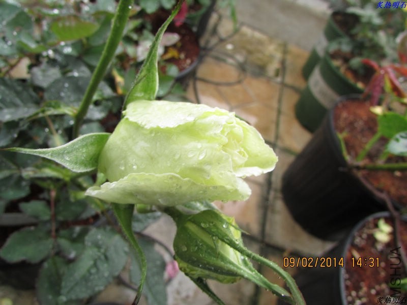 IMG_2137_nEO_IMG.jpg
