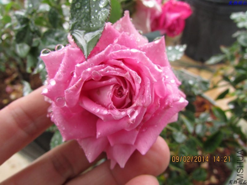 IMG_2074_nEO_IMG.jpg