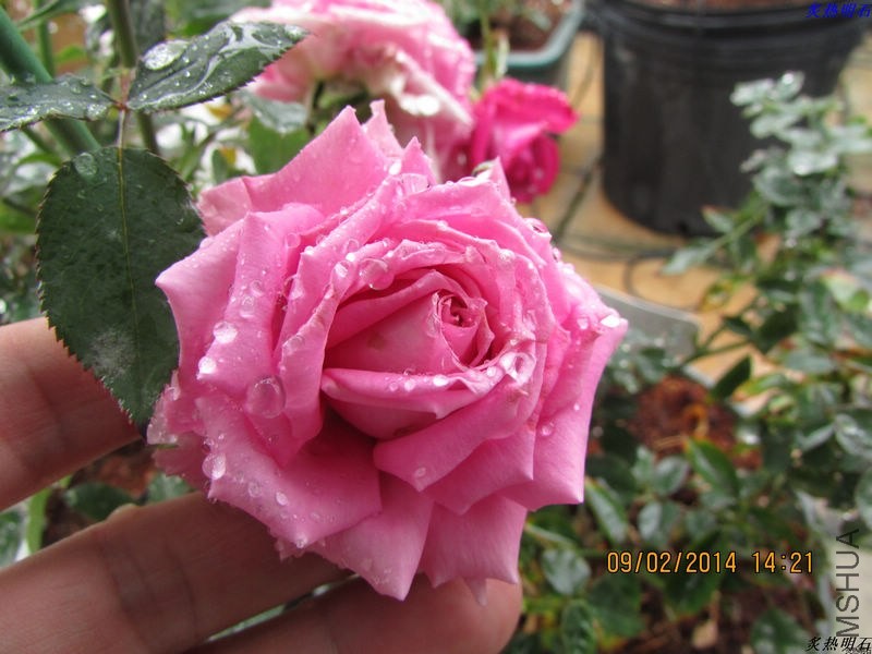 IMG_2077_nEO_IMG.jpg