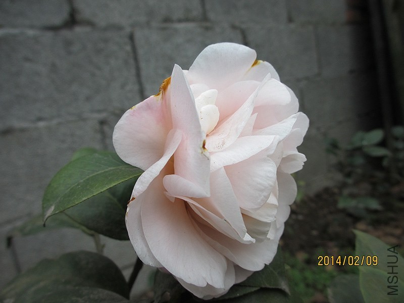 IMG_3587.JPG