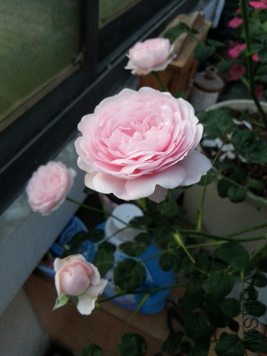 20130501_183319.jpg