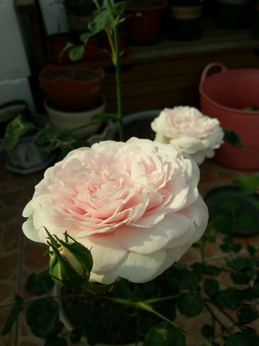 20130430_155901.jpg