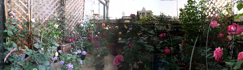 20130501_081049.jpg