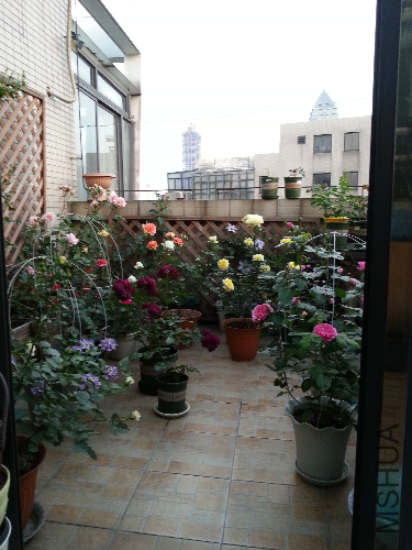 20130430_182907.jpg