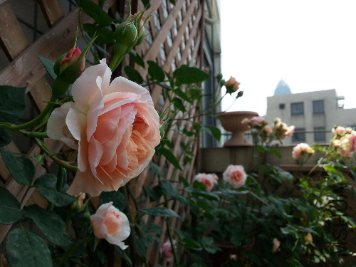 20130501_105316.jpg