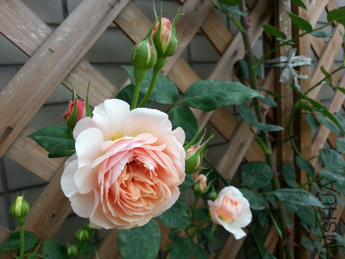 20130501_105201.jpg