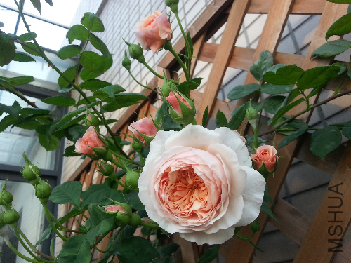 20130513_064441.jpg