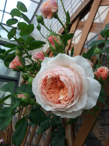 20130513_064512.jpg