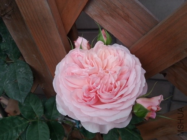 20130503_174129.jpg