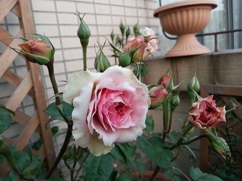 20130427_180324.jpg