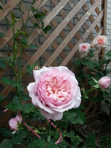 20130430_085558.jpg