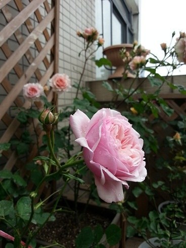 20130430_090912.jpg