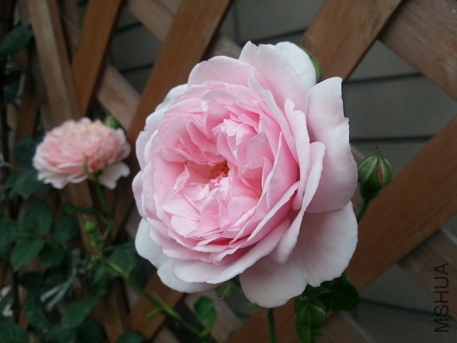 20130503_174110.jpg