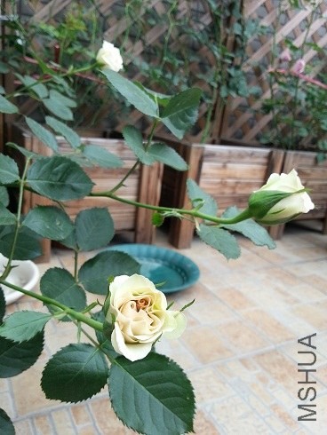 20130430_091017.jpg