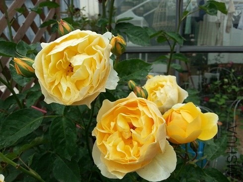 20130430_090426.jpg
