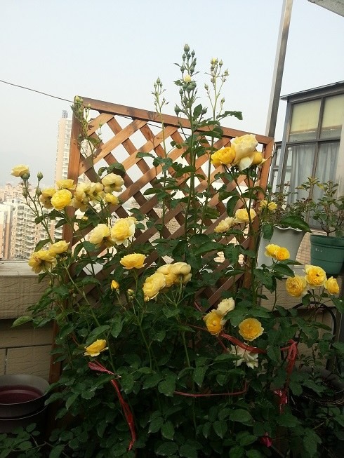 20130504_075436.jpg