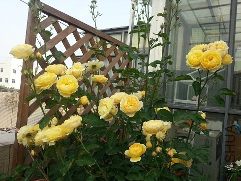 20130505_072419.jpg